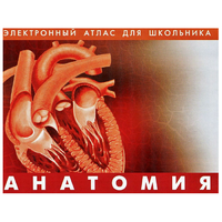 Анатомия. (Цифровой атлас школьника) - «globural.ru» - Рузаевка