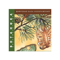 Ботаника. Микрофотографии. (Цифровая база изображений) - «globural.ru» - Рузаевка