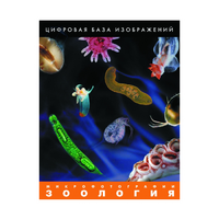 Зоология. Микрофотографии. (Цифровая база изображений) - «globural.ru» - Рузаевка