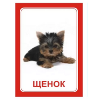 Логопедка "Щ, Х" (логопедические карточки) - «globural.ru» - Рузаевка