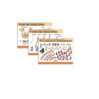 Комплект демонстрационных учебных таблиц (по предметной области музыка) - «globural.ru» - Рузаевка