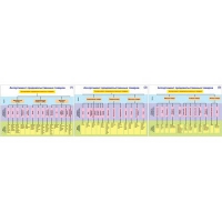 Плакаты ПРОФТЕХ "Ассортимент продовольственных товаров" (3 пл, винил, 70х100) - «globural.ru» - Рузаевка