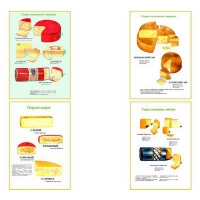 Плакаты ПРОФТЕХ "Ассортимент сыров" (9 пл, винил, 70х100) - «globural.ru» - Рузаевка