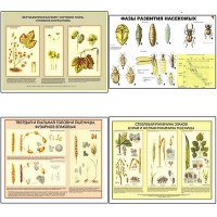 Плакаты ПРОФТЕХ "Вредители и болезни с/х культур и меры борьбы с ними" (11 пл, винил, 70х100) - «globural.ru» - Рузаевка