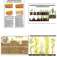 Плакаты ПРОФТЕХ "Агрономия" (5 пл, винил, 70х100) - «globural.ru» - Рузаевка