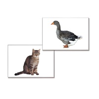 Дидактическое пособие "Домашние животные" (24 карточки, А4, ламинированное) - «globural.ru» - Рузаевка