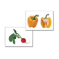 Дидактическое пособие "Овощи" (24 карточки, А4, ламинированное) - «globural.ru» - Рузаевка