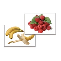 Дидактическое пособие "Фрукты, ягоды, орехи" (24 карточки, А4, ламинированные) - «globural.ru» - Рузаевка