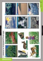 Окружающий мир. Летние и осенние изменения в природе (комплект таблиц) - «globural.ru» - Рузаевка