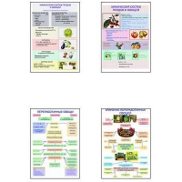 Плакаты ПРОФТЕХ "Классификация овощей и переработка" (8 пл, винил, 70х100) - «globural.ru» - Рузаевка