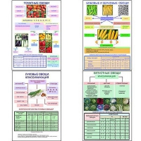 Плакаты ПРОФТЕХ "Классификация овощей" (11 пл, винил, 70х100) - «globural.ru» - Рузаевка
