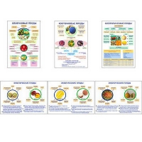 Плакаты ПРОФТЕХ "Плоды" (6 пл, винил, 70х100) - «globural.ru» - Рузаевка