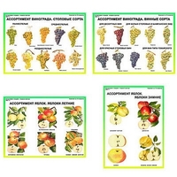 Плакаты ПРОФТЕХ "Ассортимент плодово-ягодных культур" (19 пл, винил, 70х100) - «globural.ru» - Рузаевка