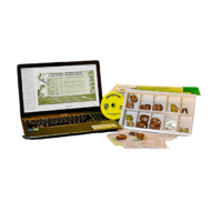 Коллекция натурально-интерактивная "Палеонтологическая" - «globural.ru» - Рузаевка