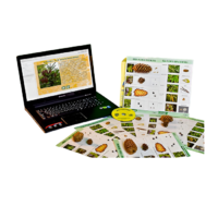 Коллекция натурально-интерактивная "Шишки, плоды, семена деревьев и кустарников" - «globural.ru» - Рузаевка