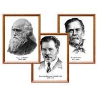Портреты выдающихся биологов, комплект 8 шт - «globural.ru» - Рузаевка