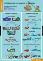 Технология. Кулинария (комплект таблиц) - «globural.ru» - Рузаевка