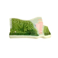 Модель Строение листа - «globural.ru» - Рузаевка