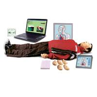 "Максим III-01"  тренажер сердечно-легочной и мозговой реанимации c обучающей компьютерной анимационной программой - «globural.ru» - Рузаевка