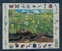 Магнитный плакат "Природное сообщество луга" - «globural.ru» - Рузаевка