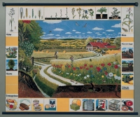 Магнитный плакат "Природное сообщество поля" - «globural.ru» - Рузаевка