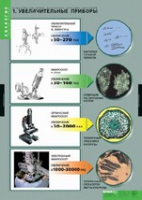 Биология. Вещества растений, клеточное строение (комплект таблиц) - «globural.ru» - Рузаевка