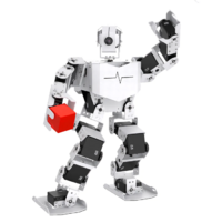 Базовый робототехнический набор  "Техник" для изучения систем управления робототехническими комплексами и андроидными роботами "Сережа ИН Про". Полный комплект на Raspbery Pi - «globural.ru» - Рузаевка