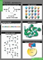 Биология. Химия клетки (комплект таблиц) - «globural.ru» - Рузаевка