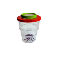 Коробка для изучения насекомых с лупой (вариант 2) - «globural.ru» - Рузаевка