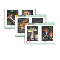 Комплект таблиц раздаточных "Грибы съедобные и несъедобные" - «globural.ru» - Рузаевка