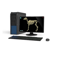 Макет масштабный «Скелет Лошади» Масштаб 1:2 - «globural.ru» - Рузаевка