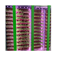 Вертикальная ферма "Моя Микрозелень" комплектация Школьная - «globural.ru» - Рузаевка