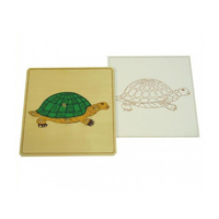 Строение черепахи с контуром - «globural.ru» - Рузаевка