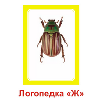 Логопедка "Ж" (логопедические карточки) - «globural.ru» - Рузаевка