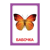 Логопедка "Ч" (логопедические карточки) - «globural.ru» - Рузаевка