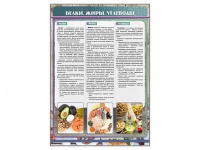 Стенд "Белки. Жиры. Углеводы" - «globural.ru» - Рузаевка