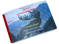 Пособие для слабовидящих "Дикие млекопитающие" - «globural.ru» - Рузаевка