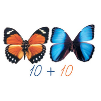 Счетный материал на магнитах "Бабочки-1". - «globural.ru» - Рузаевка