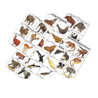 Комплект таблиц по зоологии раздаточных "Разнообразие животных. Млекопитающие." (цвет.,лам., формат А4, 16 штук) - «globural.ru» - Рузаевка