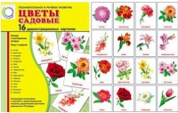 Демонстрационные карточки "Цветы садовые" - «globural.ru» - Рузаевка