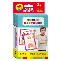 Карточки Домана "Как устроен человек" - «globural.ru» - Рузаевка