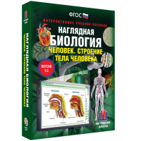 Наглядная биология. Человек. Строение тела человека - «globural.ru» - Рузаевка