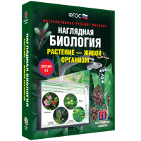 Наглядная биология. Растение - живой организм - «globural.ru» - Рузаевка