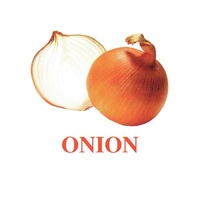 "Vegetables-Greenery-1" ("Овощи-Зелень-1") английские карточки Домана - «globural.ru» - Рузаевка