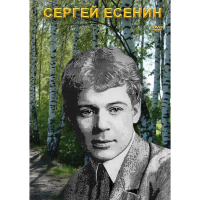 DVD Сергей Есенин - «globural.ru» - Рузаевка