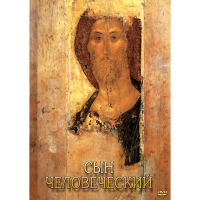 DVD Сын Человеческий (от Библии к Евангелию) - «globural.ru» - Рузаевка