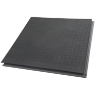 Амортизирующие маты на пол общей полётной зоны - «globural.ru» - Рузаевка