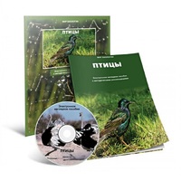 Электронное наглядное пособие «Птицы» - «globural.ru» - Рузаевка