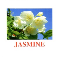 "Flowers-2" ("Цветы-2") английские карточки Домана - «globural.ru» - Рузаевка