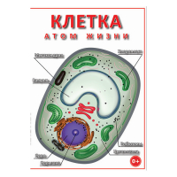 DVD Клетка - "атом жизни" - «globural.ru» - Рузаевка